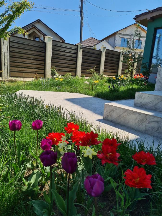Vila Fara Nume Năvodari Exterior foto